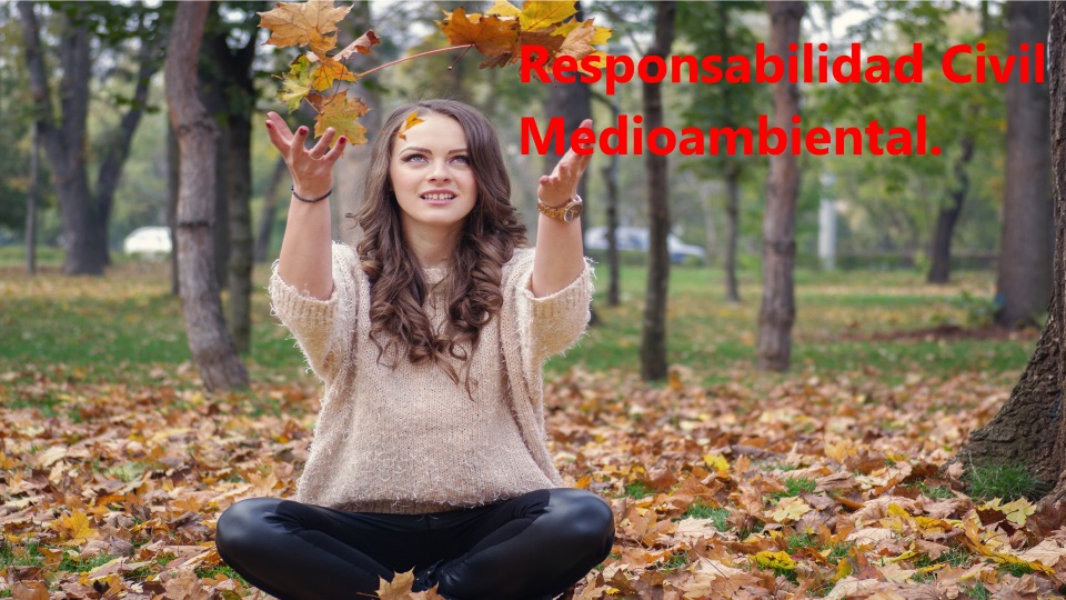 Responsabilidad Civil Mediambiental.